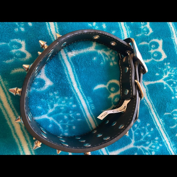 NWOT Spiked 🐶 Collar - Picture 4 of 6